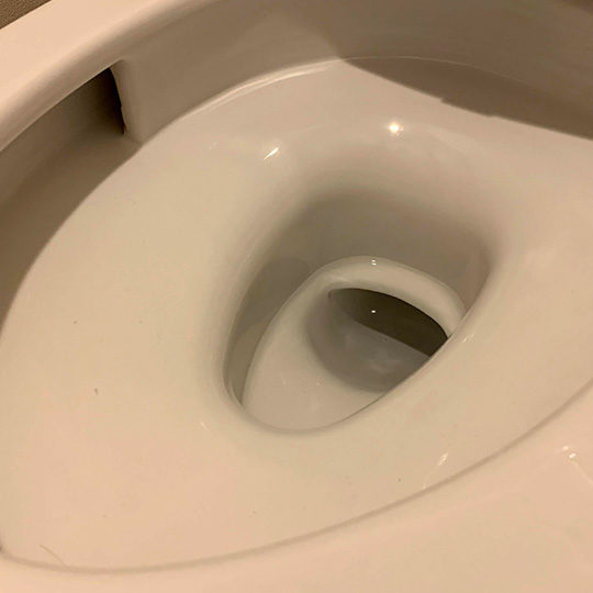 お掃除後