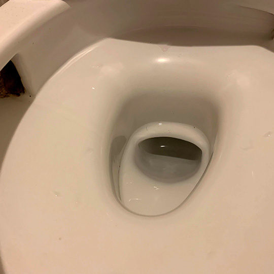 お掃除前