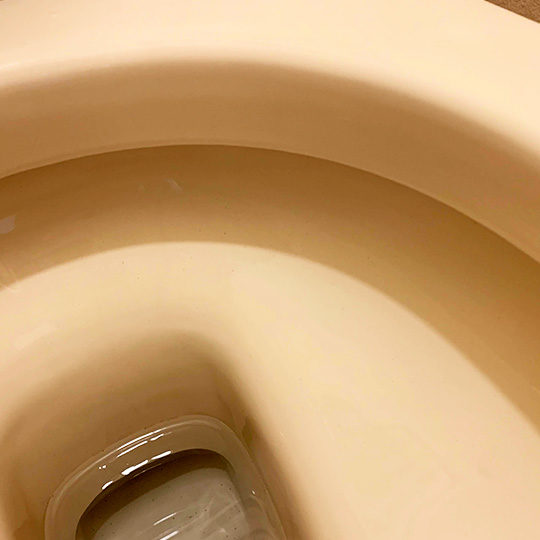 お掃除後