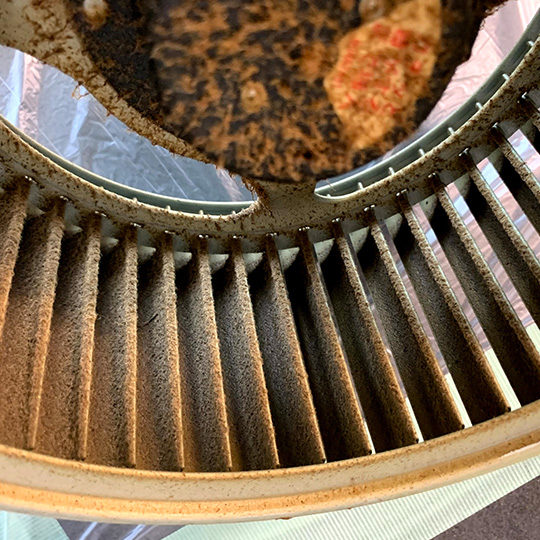 お掃除前