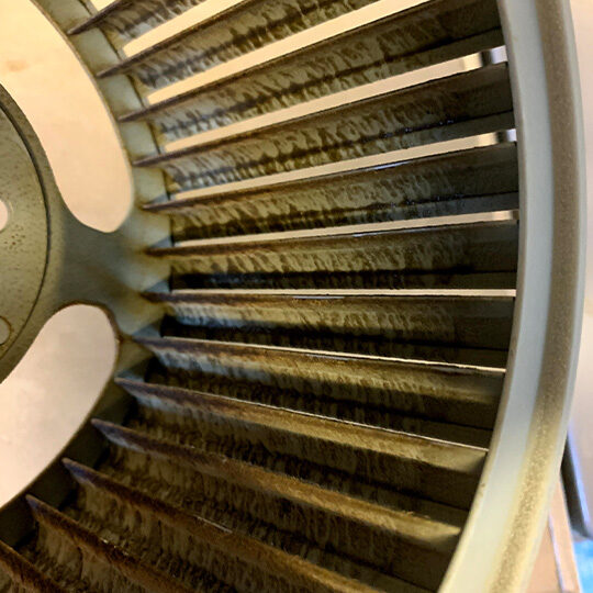 お掃除前