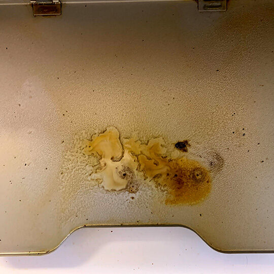 お掃除前