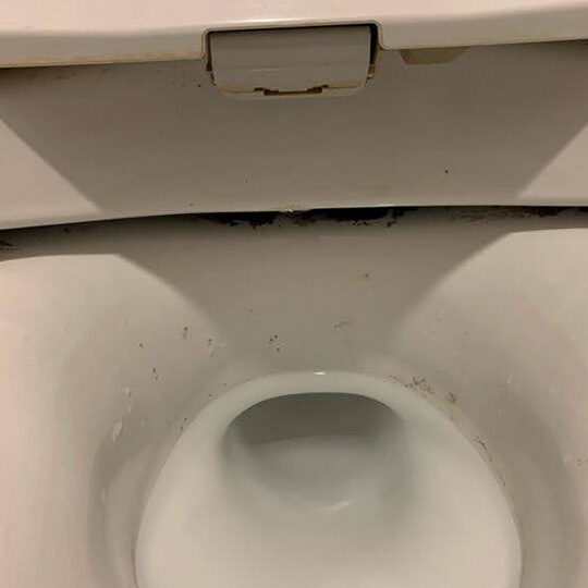 お掃除前